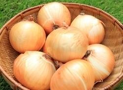 玉ねぎは冷蔵庫がダメ？3つの例外と常温と比較を管理栄養士が解説！
