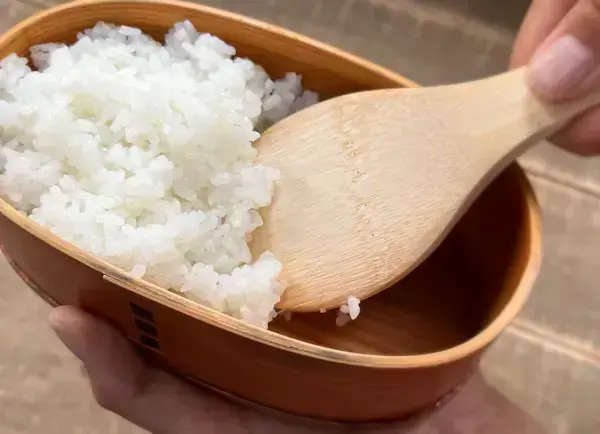 お弁当に冷やご飯をそのまま詰めても大丈夫？常温と冷蔵の違いに注意