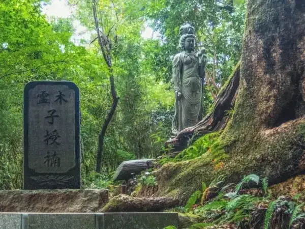 子宝神社・関東18選！「良い報告」が届いた参拝方法や時期を調査